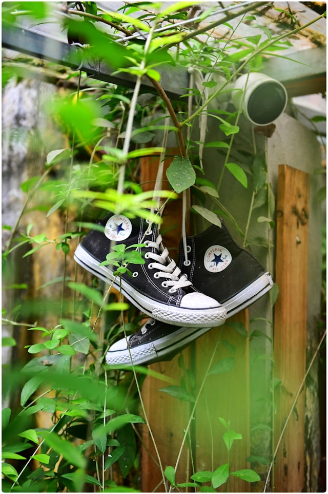 Transformative Design: How Eco-Friendly Materials Shape Modern Shoe Styles