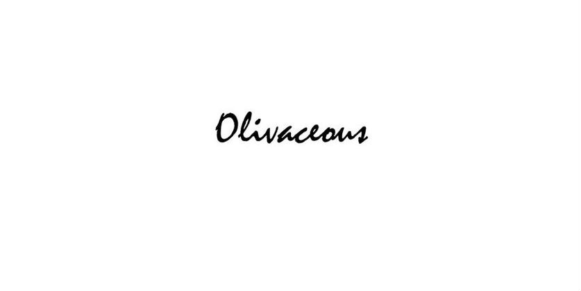 Olivaceous